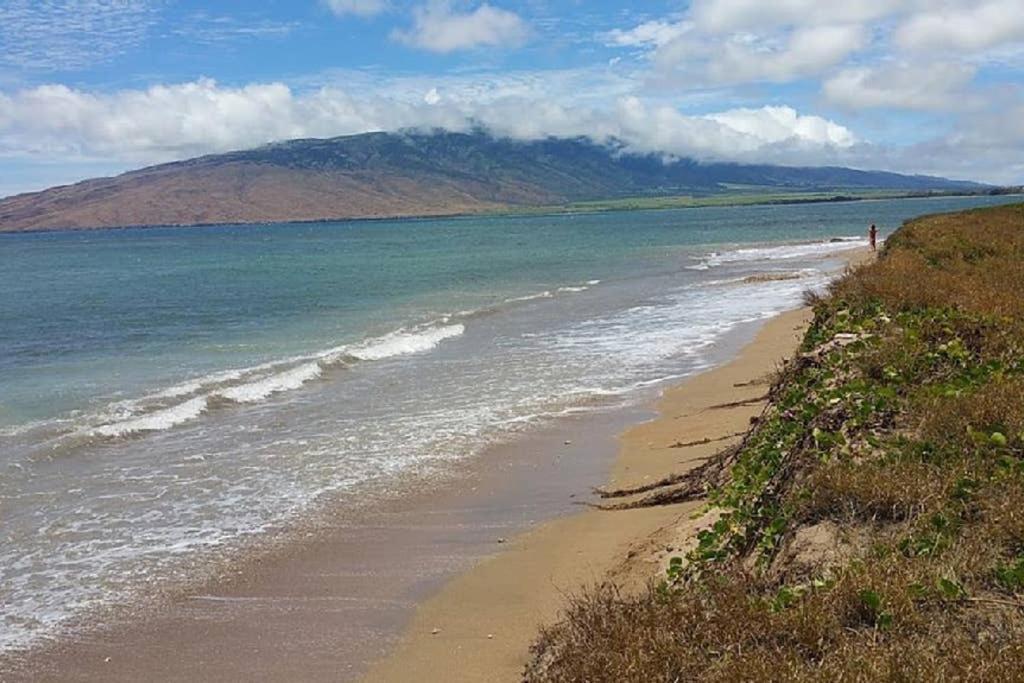 Oceanfront Penthouse With Amazing Views At Kauhale Makai Apartment Kihei Exterior photo
